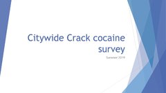 2019 Citywide Crack cocaine survey 