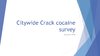 Citywide Crack cocaine survey