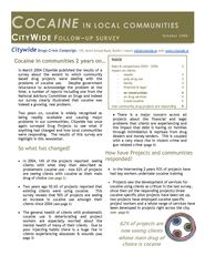 2006 Citywide Cocaine follow-up survey 