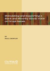 2017 Stimulating and Supporting a Black and Minority Ethnic Voice on Drugs Issues