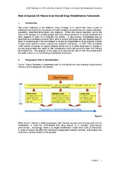 2005 - Role of Special CE Places in an Overall Drug Rehabilitation Framework